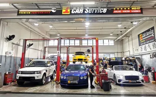 Continental cars being serviced in our workshop