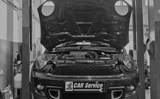 System Cleaning & Fresh Oil