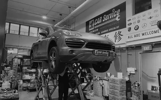 Free System Diagnosis