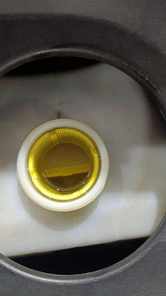 Fresh golden Motul 300V engine oil being added to the Porsche Macan during major service