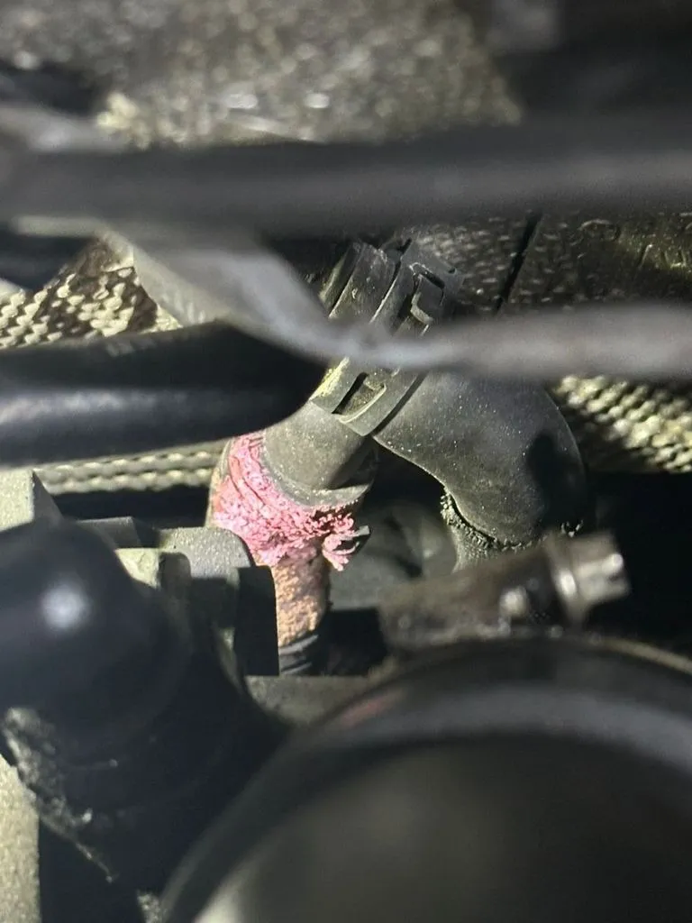 Burst coolant hose from a VW Passat showing the crack that caused the slow coolant leak, at our Singapore workshop