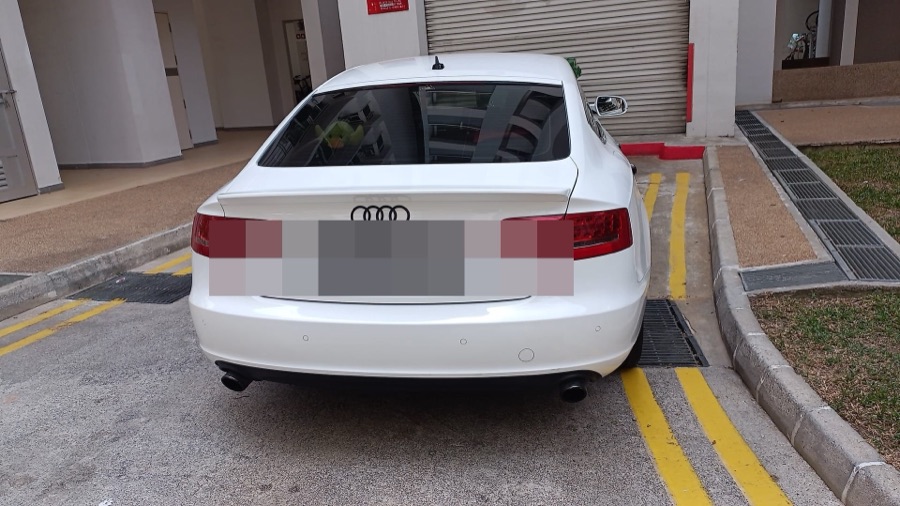 Audi A5 / S5 handled by 1 Car Service
