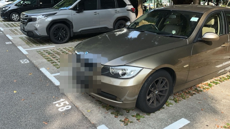 BMW 3 Series sedan parked outdoors, front view