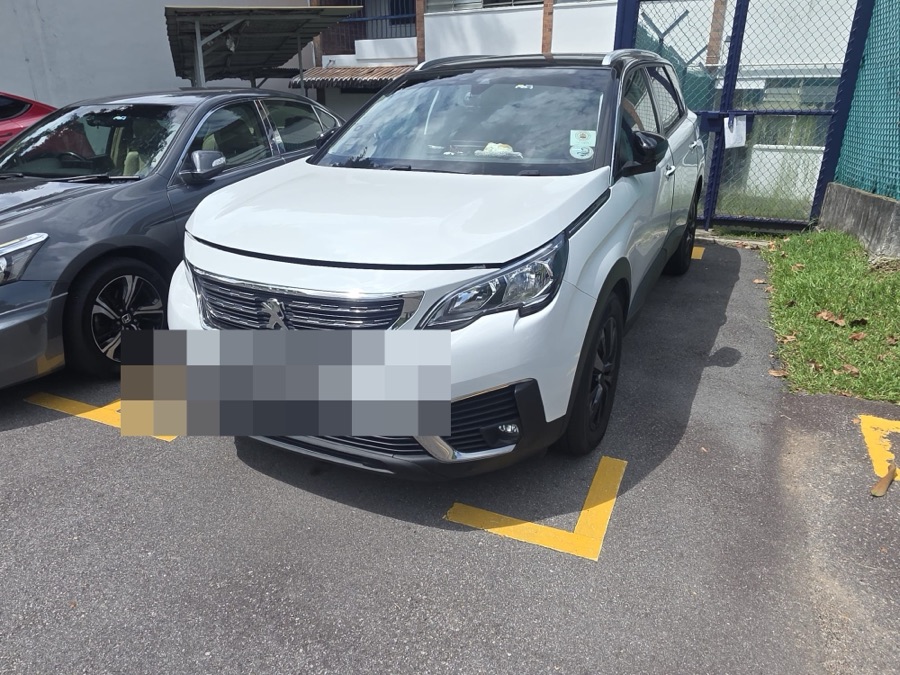 Peugeot handled by 1 Car Service